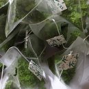 용해농장 이미지