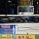 부산 온천장 맛집 막썰어횟집 산오징어 동래구 단체횟집으로 손색없네요