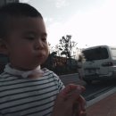 김천닭집 이미지