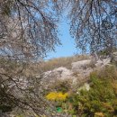 월명1길 이미지