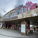 신화민박 이미지