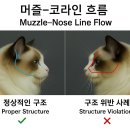 머즐(Muzzle) 이미지