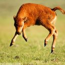 누리소농장 이미지