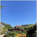 맥아더 | 유럽 아울렛 후기 | 프랑스 파리 지베르니 ‘맥아더글렌 아울렛’