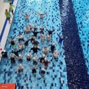 수영초등 이미지