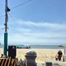 쭈꾸미하우스 | [그린하우스] 무창포 해수욕장 쭈꾸미 샤브와 바지락 칼국수 맛집