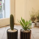 혜은농장 이미지