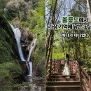 사진3리 폭포 옆 | 울릉도 가볼만한곳 봉래폭포 삼나무숲 풍혈까지 완벽했던 여행코스