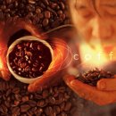 덕천2동-9 이미지