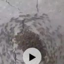 문정기 카카오 검색결과