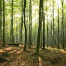 영광힐링컨벤션타운 이미지