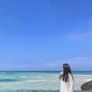 가을제주여행 4박5일 찐맛집, 카페, 인생샷 포토존 이대로만 다녀오세요