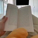 육교경로당 | 2026년 5월 합법적 여유일상3(고성 당일 여행, 고성 커피테일, 토마토잼&amp;디핑소스, 후레쉬베리 펑리수...
