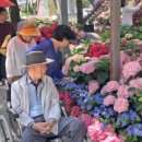 빛나리 목장 이미지