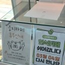 대구대학교 특수교육대학원 | 대구대학교 교육대학원 2학차 후기 (8-15주차)