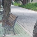 선인민박 이미지