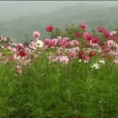 하늘이야기 이미지