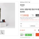 알파몰 이미지