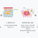 다원바이오 이미지