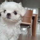 모해 - 제천시 청풍호로10길 50 | 모해