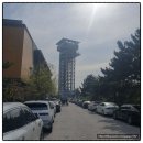 이색데이트 보령시 가볼만한 곳 놀거리 탈거리 짚트랙코리아 국립공주대학교대천수련원 대전학생해양수련원