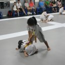 타이거 합기도장 이미지