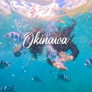 중부-현장-중부-469 | 오키나와 푸른동굴 스노쿨링 추천 루리오키나와 준비물 팁