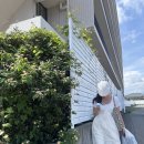 대교제일할인마트 | 시즈오카 3박 4일 여행/6월 초여름에 간 시즈오카 솔직후기, 여행 일정 엑셀 정리본 공유