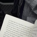 Tiny dancer 이미지
