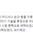 최강국가대표태권도 네이버블로그