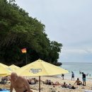 최신영화 앵커 | 인도네시아 발리 입국 신고서 최신 개정판 공유