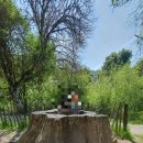 디어팜 (Deer Farm) 네이버블로그