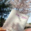 사계절옷수선 - 수원시 권선구 세지로28번길 37 | 사계절옷수선