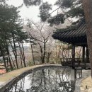 성북구 성북동 조용한 분위기 전통찻집 가볼만한 곳 2 총정리