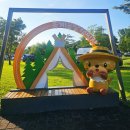 첨단산업로 | [충주캠핑장추천] 목계솔밭캠핑장 1박2일 후기 남한강 차박 성지