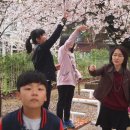 칠서-1 이미지