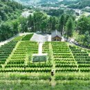 큰마음목장 이미지