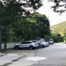 금화백숙 이미지