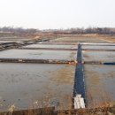 동주로(동주길) 이미지