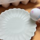 누리플러스 동복농장 | 조인 무항생제계란 , 아이들을 위한 최고의 선택, 조인 1+등급 백색 신선란 실용적인 살림을 위한 선택