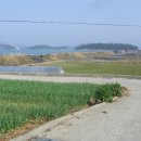 달리도 민박 이미지