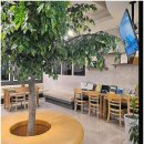 라인치과의원 | 치과 공포증 극복 후기화이트라인치과의원