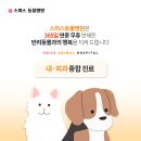 스위스동물병원 이미지
