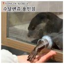 알곡어린이집 | 용인 아이랑 가볼만한 곳 '수달앤쥬' 용인 실내동물원 동물먹이주기 체험 후기