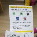 [엔에이치에듀플러스] 유아영어 학습교구&lt;옥타곤4d카드&gt;