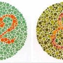 포엠아이 안경·콘택트 이미지