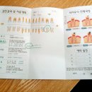 산본CDC어린이치과 네이버블로그