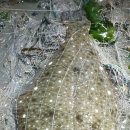 무등펜션 이미지