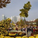 익산 체육공원 ＜천만송이 축제＞ 이미지