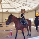 용인홀스트래킹 이미지